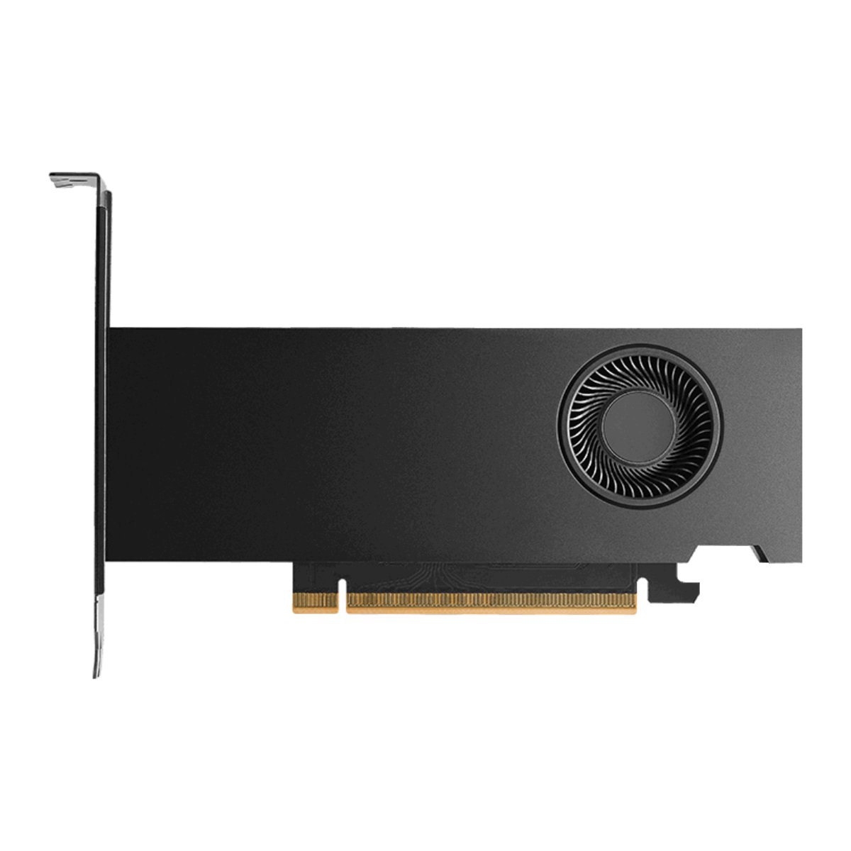 Placa Gráfica Nvidia Quadro RTX PRO 2000 16GB GDDR7