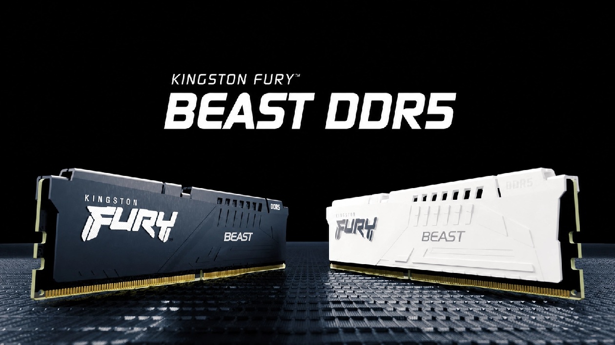 Módulos Kingston FURY Beast DDR5 com dissipadores preto e branco